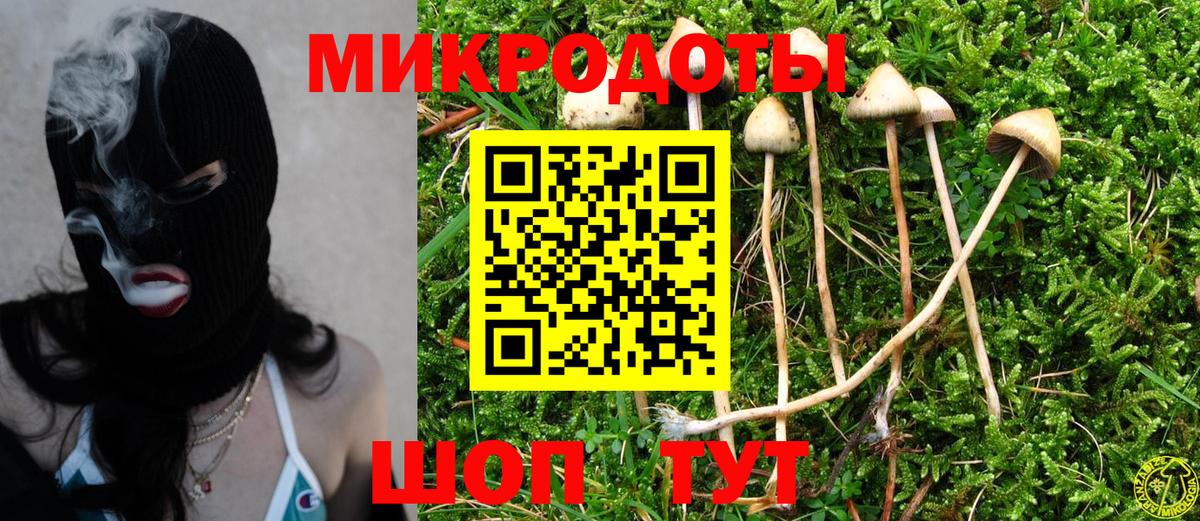 Галлюциногенные грибы Psilocybe Донецк