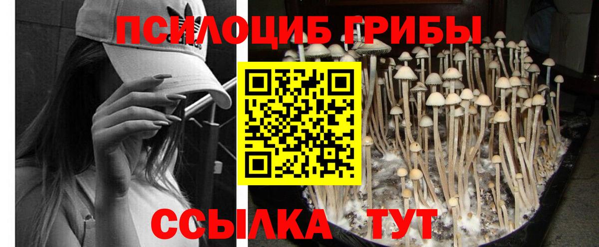 наркошоп  Псилоцибиновые грибы мухоморы  Вход с VPN  Донецк 